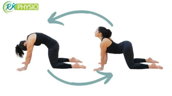 ورزش های فیزیوتراپی برای دیسک کمر