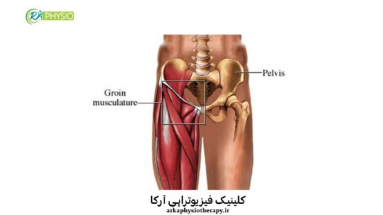 علت درد کشاله ران چیست؟