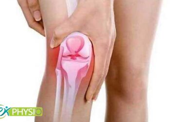 تاثیر میکروبیوم روده بر التهاب و درد زانو
