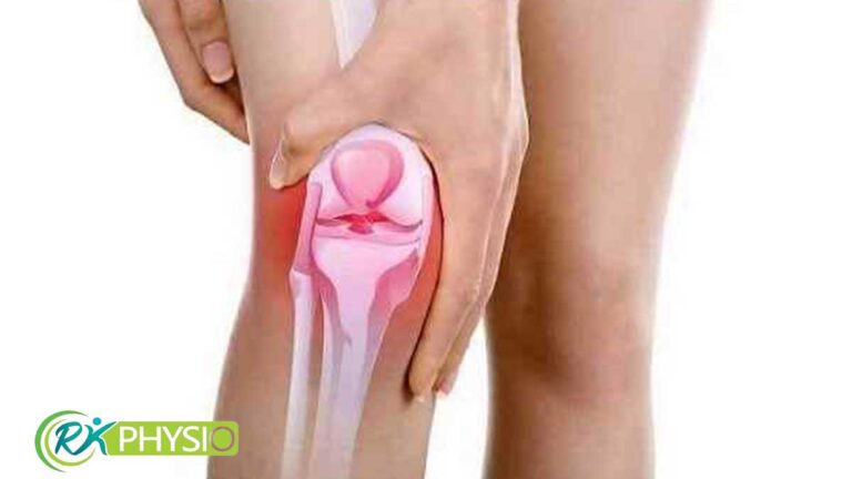 تاثیر میکروبیوم روده بر التهاب و درد زانو