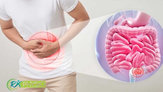 تاثیر میکروبیوم روده بر التهاب و درد زانو