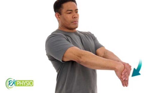 کشش بازکننده مچ (Wrist Extensor Stretch):